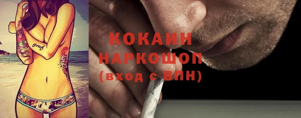 ПСИЛОЦИБИНОВЫЕ ГРИБЫ Арсеньев