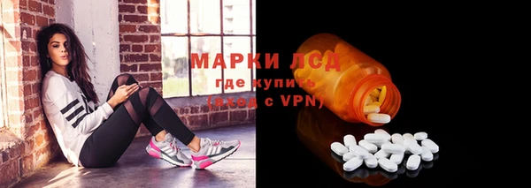 ПСИЛОЦИБИНОВЫЕ ГРИБЫ Арсеньев
