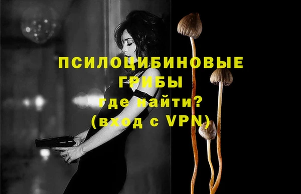 ПСИЛОЦИБИНОВЫЕ ГРИБЫ Арсеньев