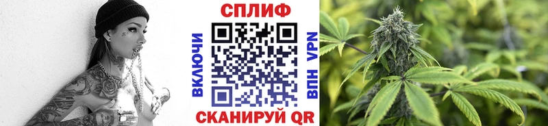 Каннабис White Widow  площадка официальный сайт  Балтийск  кракен онион 